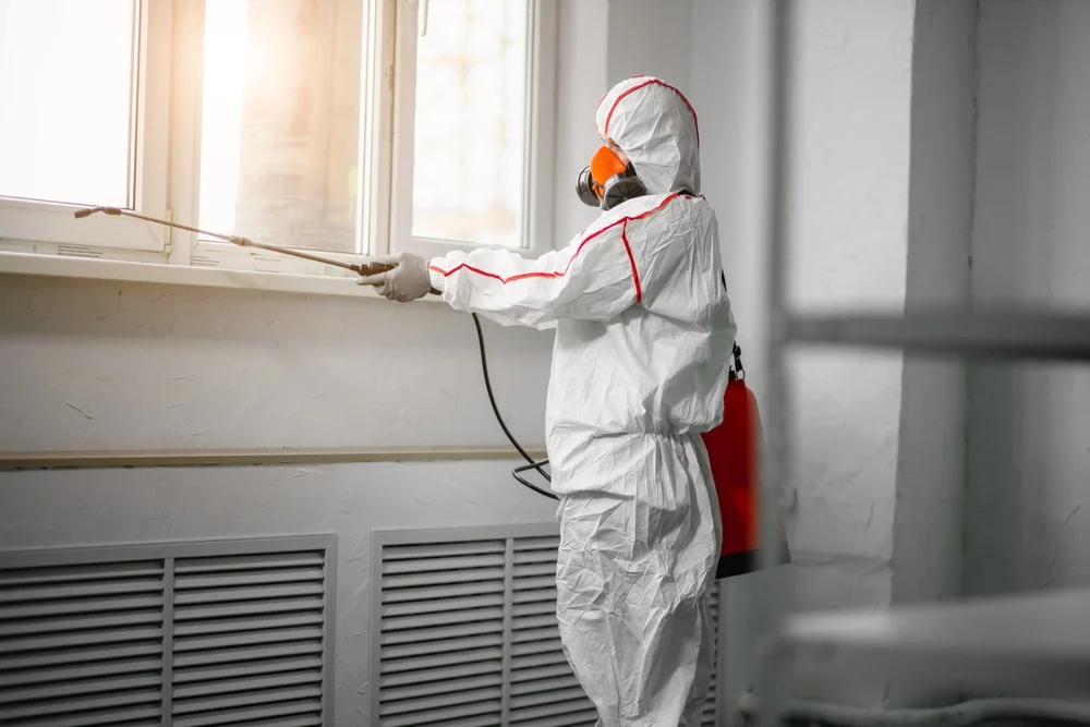 Professional mold remediation services in Warrenville, SC